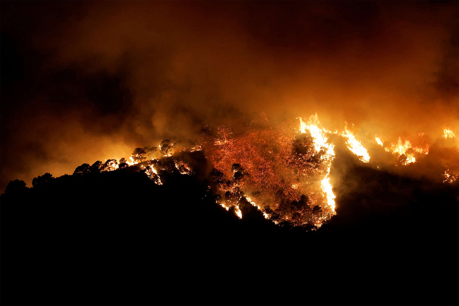 Испанийн Бенаавис дахь ойн түймэр, Jon Nazca/Reuters